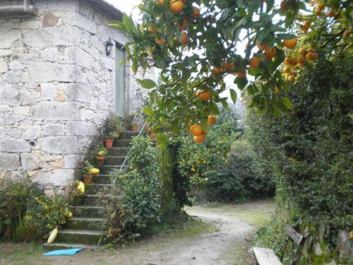 Hotel Quinta De S.Vicente Geraz do Minho Exterior foto